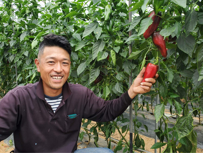 ◎熊本県「緒方農園」パプリカ