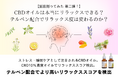 【CBDと脳波計測 第二弾】CBDオイルは本当にリラックスできるのか?テルペンの効果は?脳波計測からリラックススコアを可視化し、検証!
