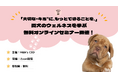 「大切な“キミ”に、もっとできることを。」愛犬のウェルネスを学ぶ無料オンラインセミナー開催!―皮膚・栄養・スキンケアの専門家が語る、今日から始めるホームケア