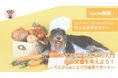 【開催報告】てんかん・シニア期のごはんに悩む飼い主さんへ。食事から“脳と体を整える”無料オンラインセミナーを開催しました