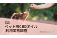 【ペット用CBD 実態調査】86％が“効果あり”と回答。利用目的は「てんかん」「シニアケア」が最多
