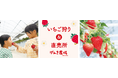 株式会社げんき農場 羽生農場　2026年1月31日(土) 人気5品種の食べ比べが楽しめるいちご狩りをスタート　～直売所外壁へ新フォトスポットも完成～