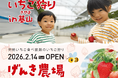 株式会社げんき農場　佐賀県基山町に新たな観光農園「げんき農場 基山農場」2月14日グランドオープン　～ 人気3~5品種のいちご狩りをご提供 ～