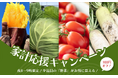 猛暑や雨不足による不作等の影響で野菜の価格が高騰する中、ポケットマルシェにおける野菜の販売件数が増加 価格高騰を受け、ポケットマルシェで野菜がお得に購入できる家計応援キャンペーンを実施