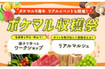 ポケットマルシェが9周年を記念した「ポケマル収穫祭」を開催　親子で参加できる「海のワークショップ」や、大崎駅前マルシェへのポケマル登録生産者の出店を通じて直接の交流を促進、関係人口の創出を目指す
