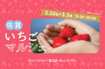 佐賀県と連携し、旬のブランドいちご8銘柄が集結する「佐賀いちごマルシェ」を開催