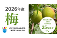 【2026年産 梅】ポケットマルシェ 和歌山県産梅の出品数が前年同期比25％減少