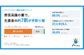 野菜高騰の裏で、回答した生産者の約7割が手取り減。長雨・日照不足で「売るものがない」産地の実態 ー ポケマル登録生産者調査