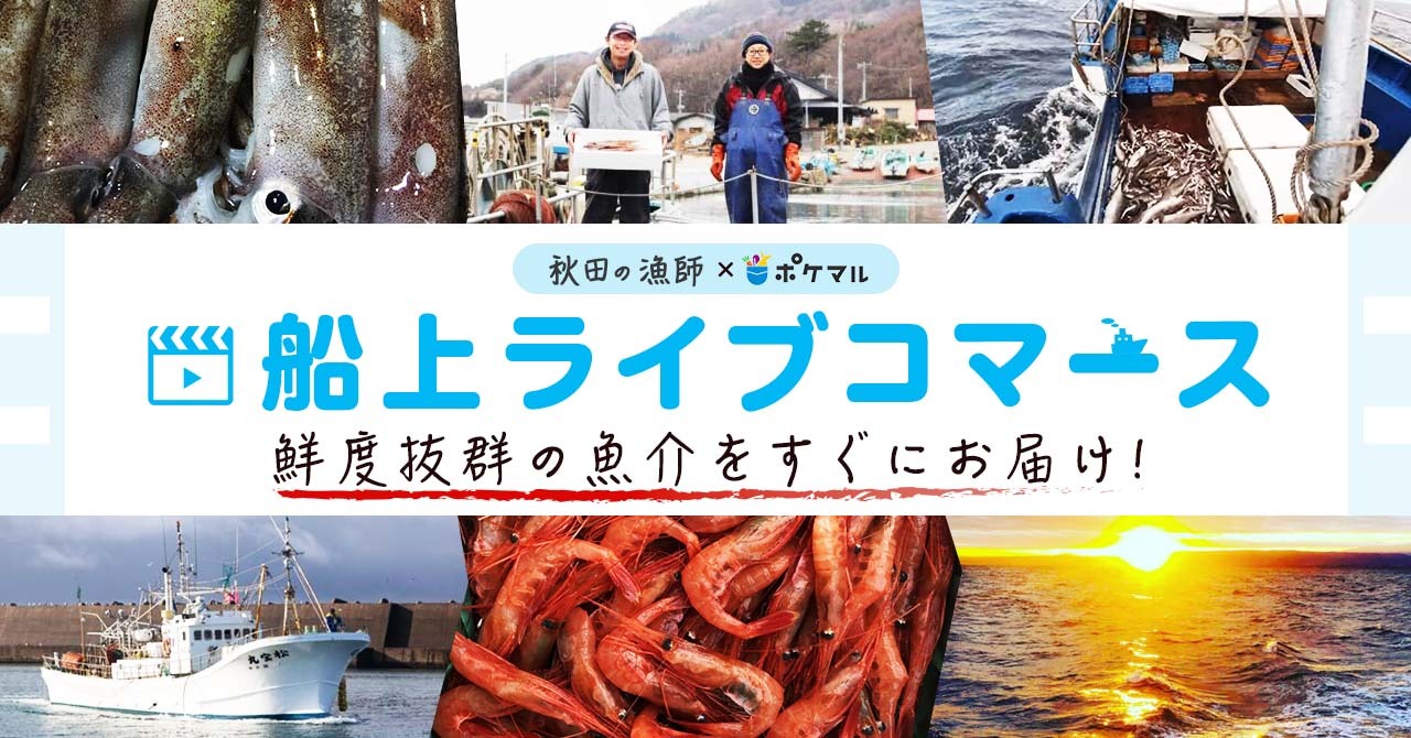 漁師が漁業のリアルを伝える 船上ライブコマース を開始 デジタル活用で 消費者参加型の 疑似せり体験 や 鮮度のよい魚介類の直送を実現 株式会社雨風太陽のプレスリリース