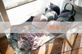 【ZOZOTOWN】週末タイムセール開催!お得にゲットのチャンス【下着専門店izumi BODY LABO】
