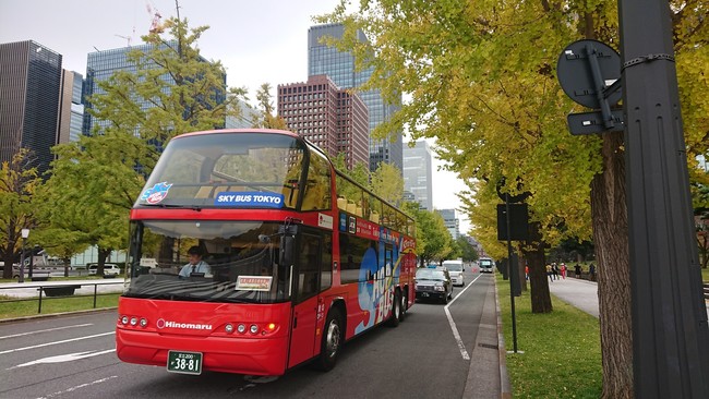 紅葉と国立競技場コース②