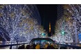 スカイバス東京20周年企画第1弾【期間限定】クリスマスイルミネーションコース『帝国ホテル 東京シャンパンセットチケット付きプラン』スタート!