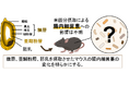 【共同研究】信州大学×東洋ライス 米糠摂取により腸内の有用菌の増加や腸内細菌の多様性が高まることについて、動物実験で証明