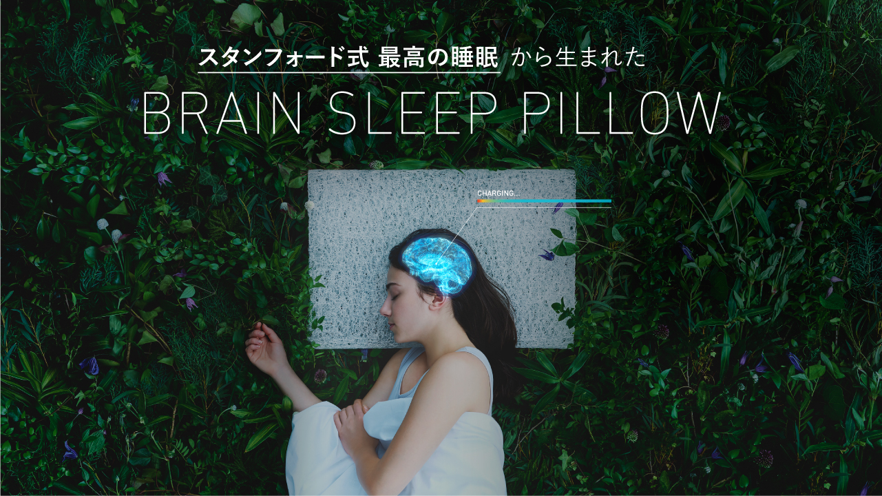 BRAIN SLEEP PILLOW ブレインスリープピロー スタンダードの+dev.nado