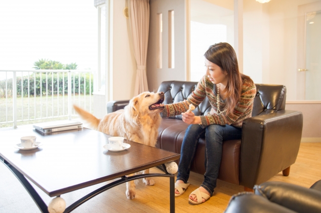 愛犬と泊まれる部屋も人気