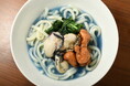隠れ家フレンチで味わう深夜めし。『LORE』が9月の新メニュー「アクアうどん」の販売を開始!