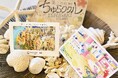 【石垣島】ゲストハウス「ちゅらククル」10周年記念　宿泊者向けノベルティキャンペーンを7月9日（木）開始