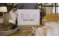 TVアニメ「夏目友人帳 漆」にてCM放映中!! 【知ってた?】LaLaの早口豆知識【LaLa TVCM】
