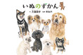 犬のことを知れば、もっと仲良くなれる。大ヒット「コドモエのずかん」シリーズ最新刊!『いぬのずかん』3月6日発売‼(コドモエのえほん)