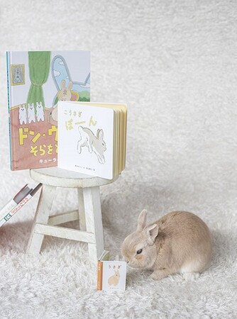 撮影/志田三穂子 撮影/志田三穂子