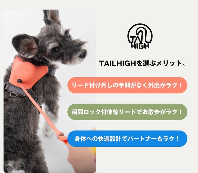 世界初の機能を搭載した、犬用伸縮リード一体型ハーネスがテールハイ