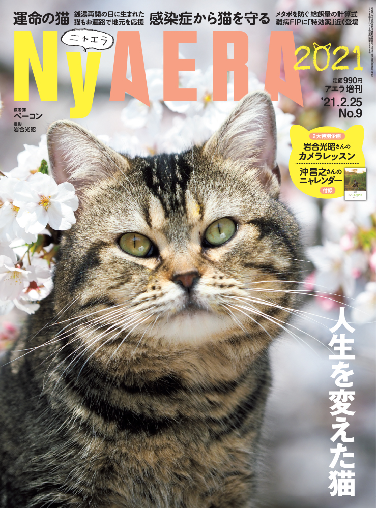お待たせしました Aeraが猫化した Nyaera ニャエラ が今年も発売 表紙は岩合光昭さん撮影のベーコン 特集は 運命の猫 と 猫 と感染症 株式会社朝日新聞出版のプレスリリース
