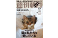 “猫まみれ”の「週刊朝日」12月21日発売号は、まるっと１冊モフモフ！ 特別付録は岩合光昭さんの寅年2022「とらねこ」カレンダー