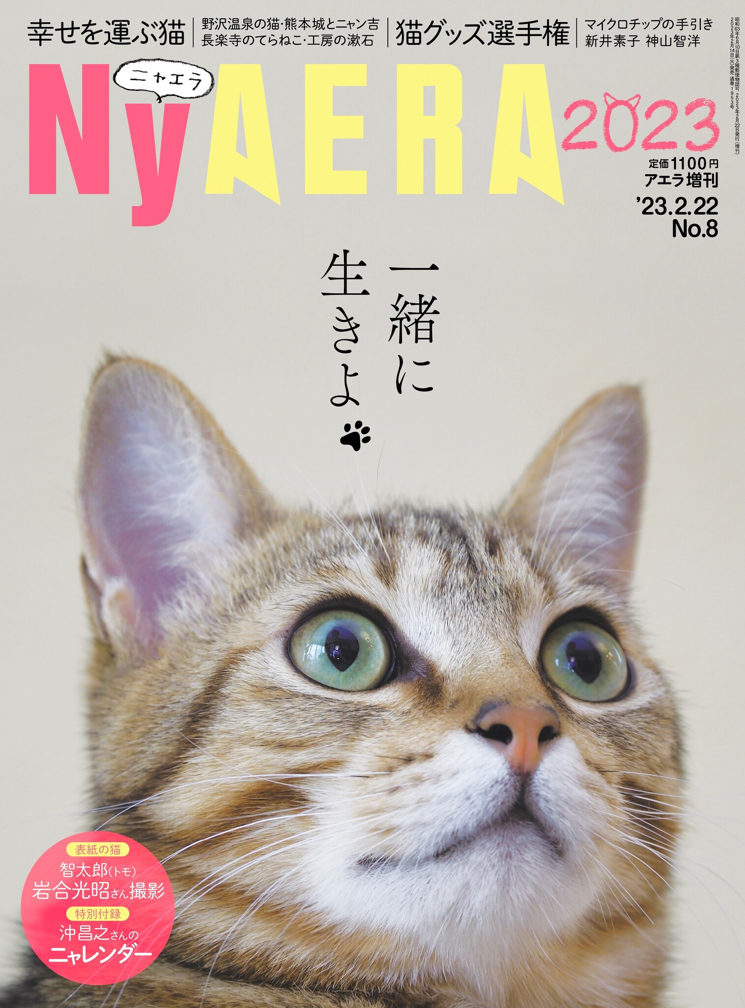 今年もやります全力で！ 「NyAERA2023」発売／表紙は岩合光昭さん撮影