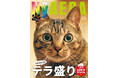 「NyAERA2026テラ盛り」は10周年記念の永久保存版／岩合光昭さん撮影初のW表紙／動画付きニャ🐾