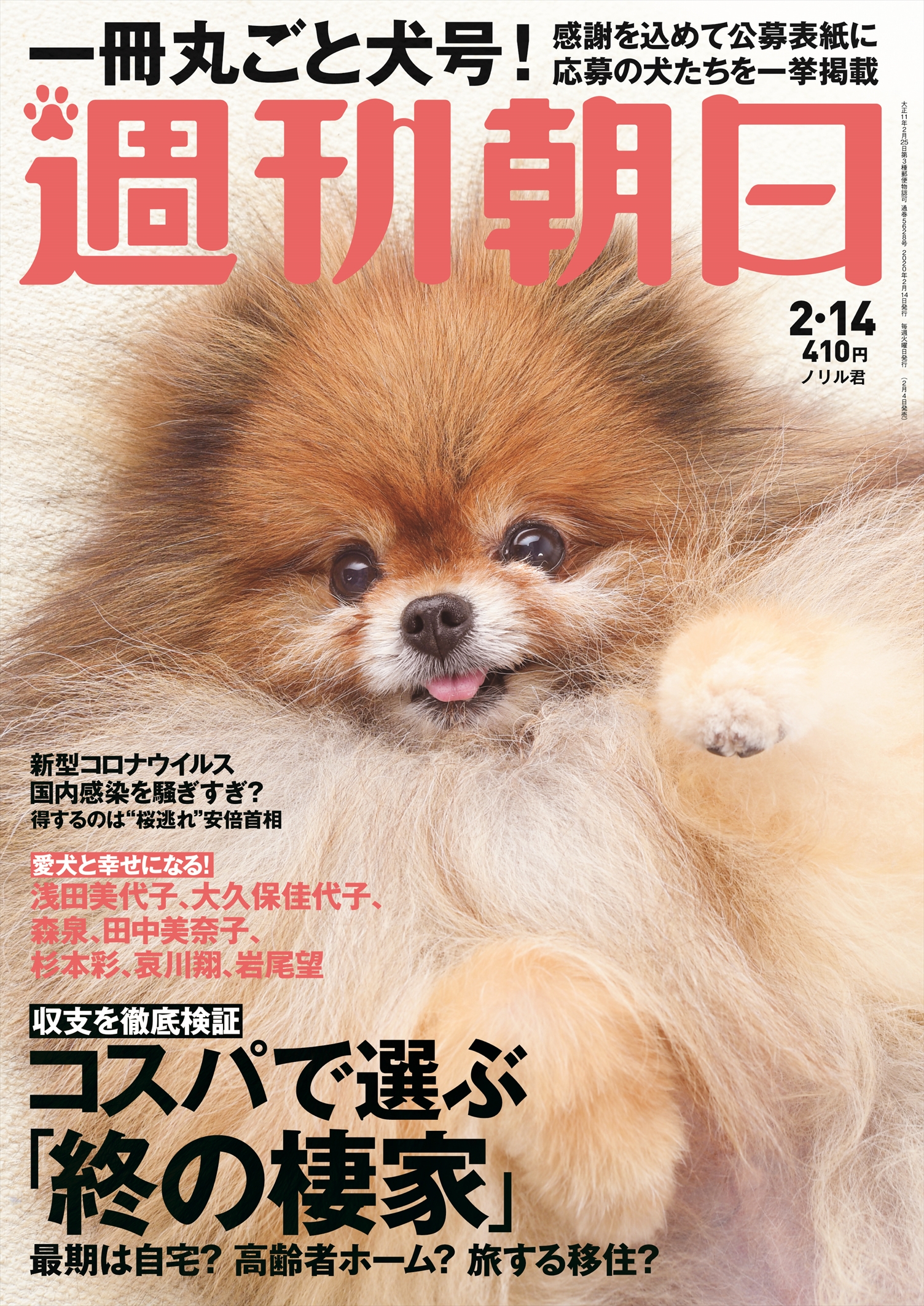 猫ブームには負けないワン 週刊朝日史上初の わんこ 特集 株式会社朝日新聞出版のプレスリリース