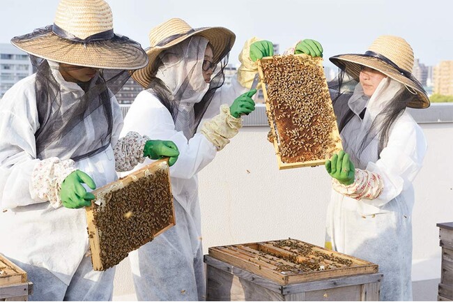 学校の屋上で養蜂し採蜜した徳川はちみつを使用