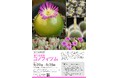 【国立科学博物館 筑波実験植物園】コレクション特別公開「育てる宝石・コノフィツム」開催のご案内