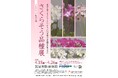 【国立科学博物館 筑波実験植物園】コレクション特別公開「さくらそう品種展」開催および報道内覧会のご案内