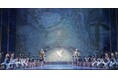 プティパ最後の傑作 『ライモンダ』が 新国立劇場で開幕！