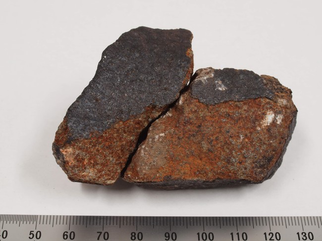 船橋市で発見された隕石　（国立科学博物館）