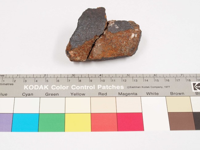 船橋市で発見された隕石　（国立科学博物館）