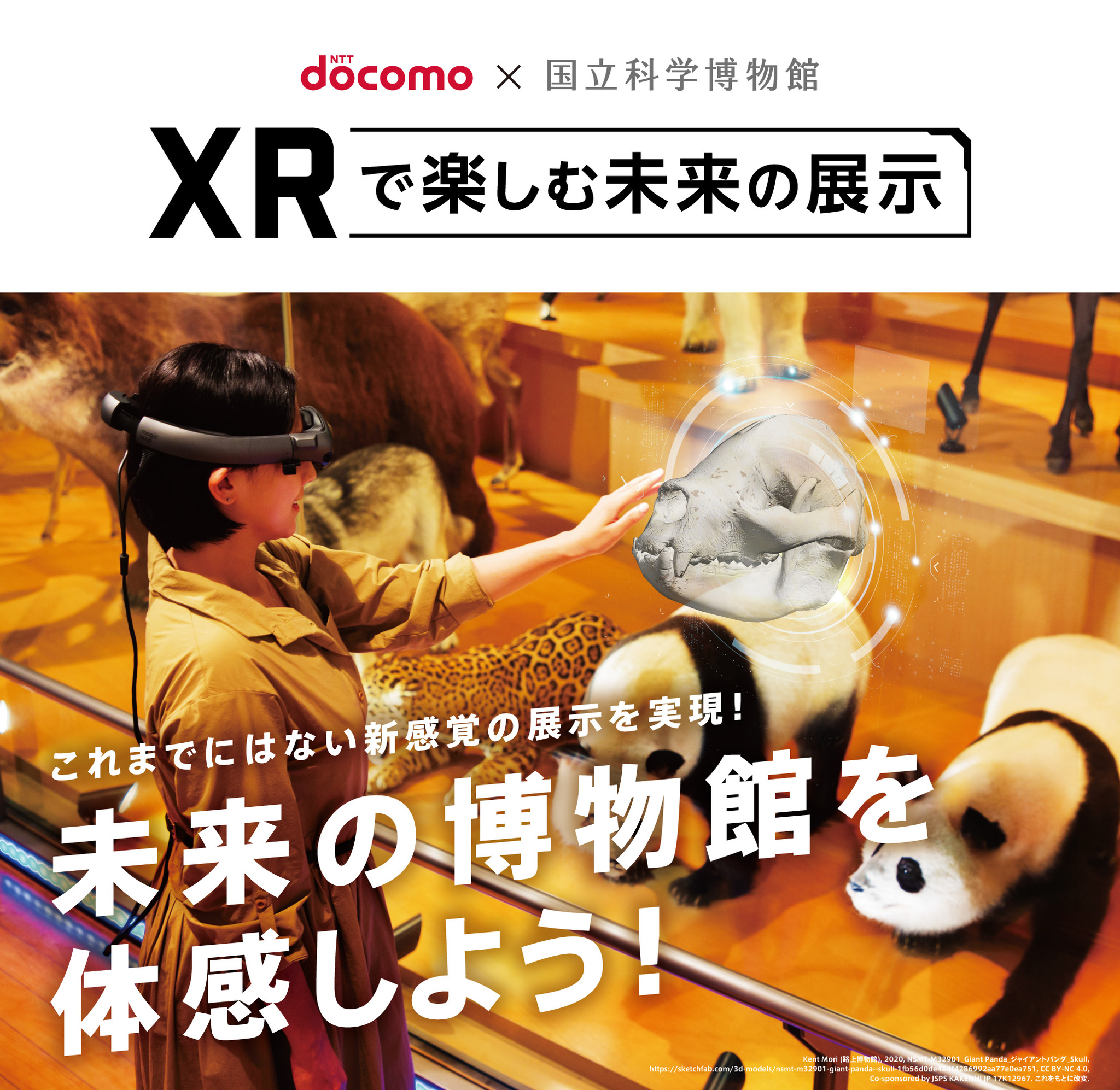 高価値セリー 3色 3D ネコ ライト www.dreamhomerealestate.al