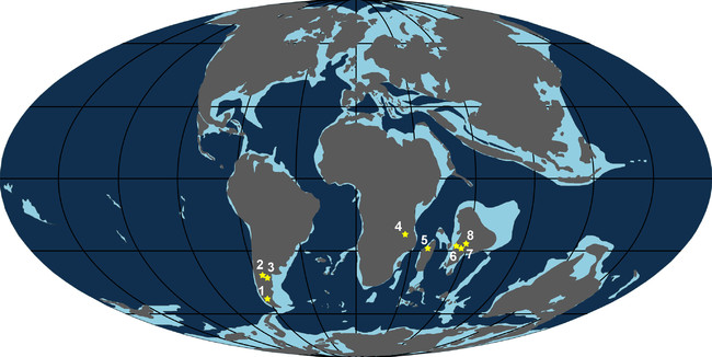 国立科学博物館 初めての哺乳類化石を発見 パタゴニア南部で約7000年前の地層から 貴重な生態系の記録が見つかる 文化庁のプレスリリース