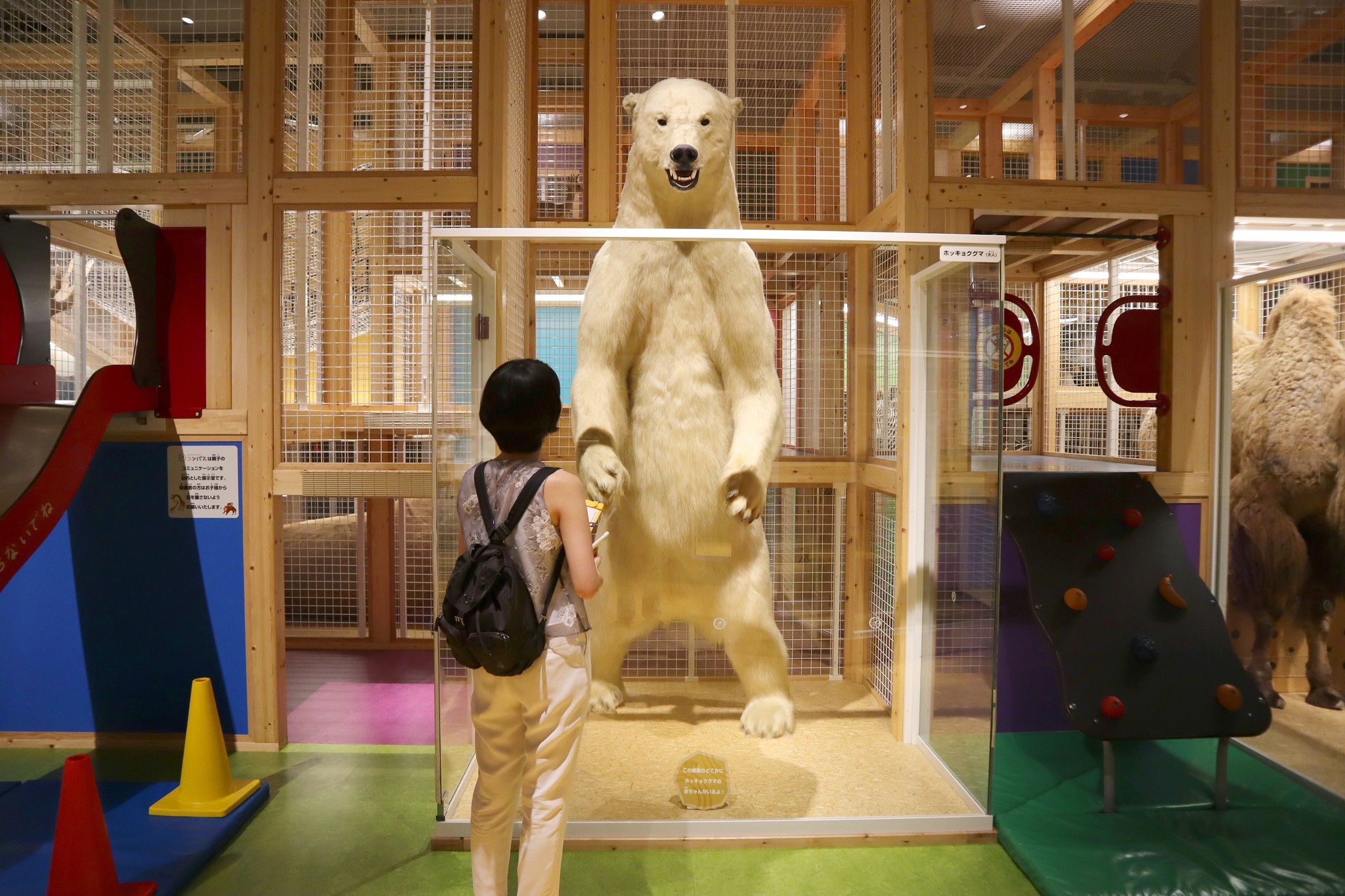 国立 科学 博物館 デート