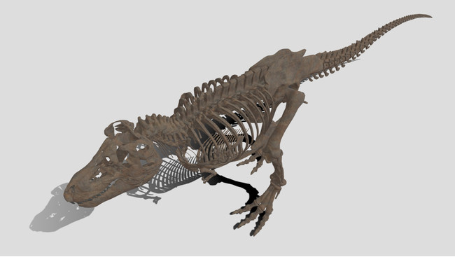 　『V×Rダイナソー®』よりティラノサウルスの骨格化石デジタルデータ