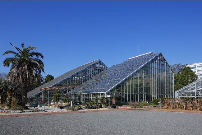 筑波実験植物園