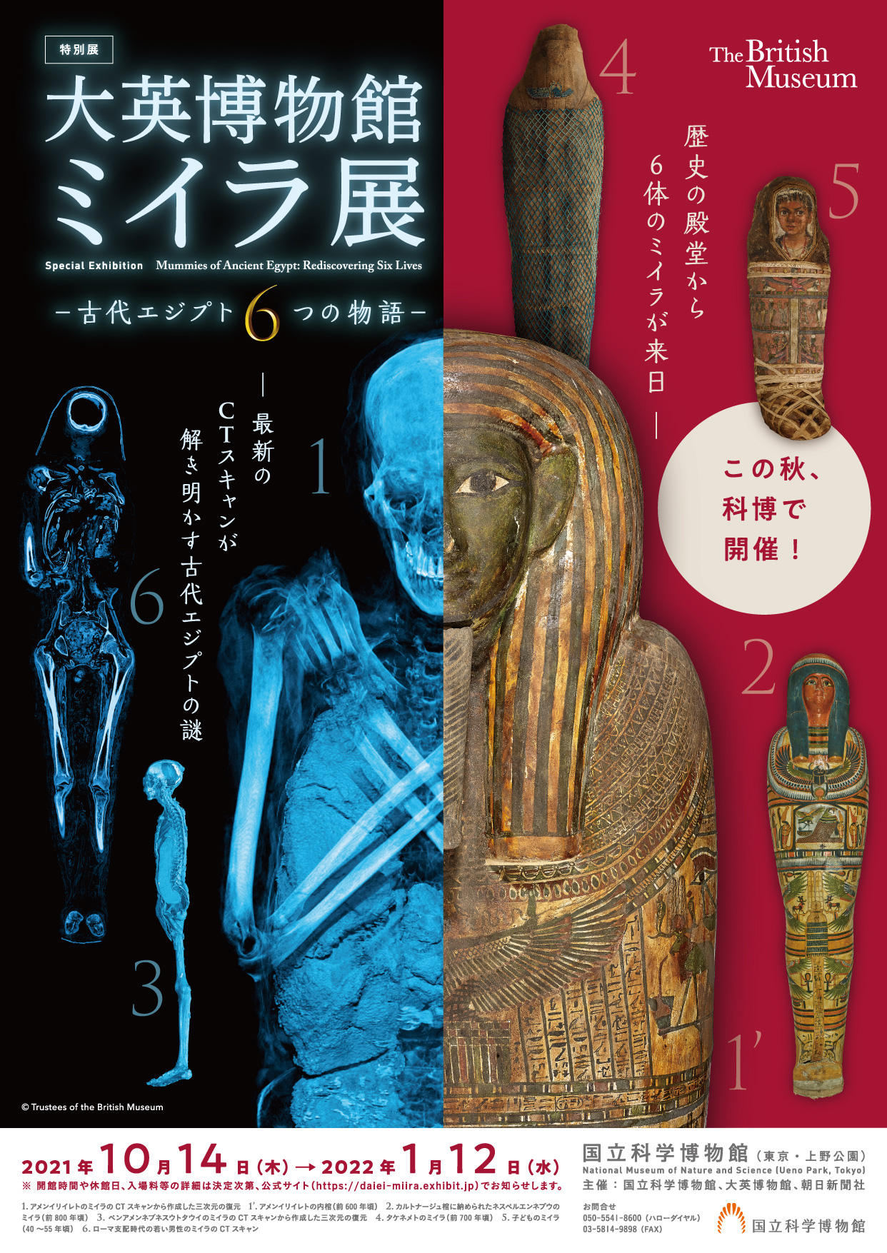 国立科学博物館 この秋 かはく にミイラがやってくる 特別展 大英博物館ミイラ展 古代エジプト６つの物語 開催決定 文化庁のプレスリリース