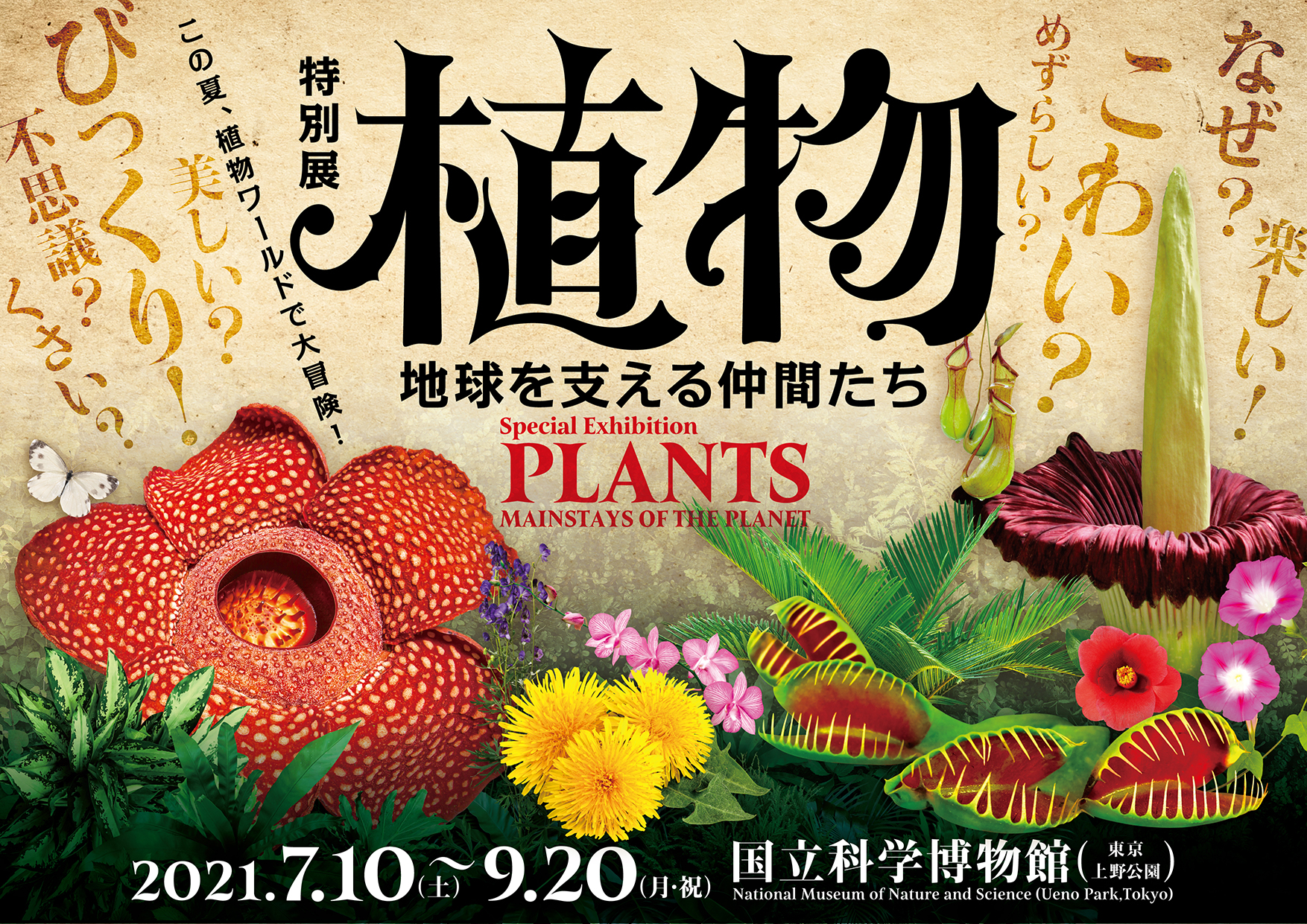 国立科学博物館 7月10日 土 開幕 国立科学博物館 東京 上野公園 特別展 植物 地球を支える仲間たち 文化庁のプレスリリース