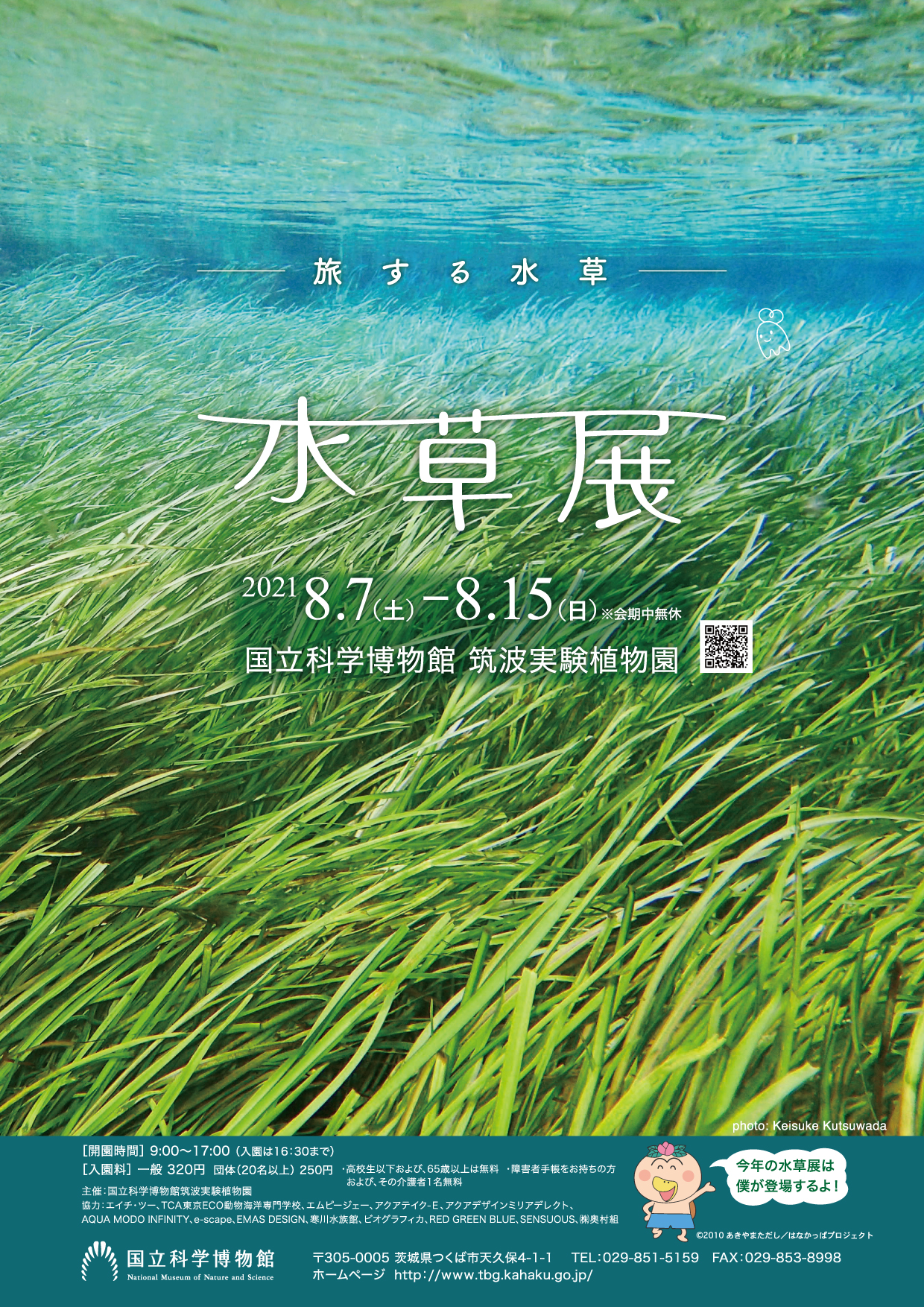 国立科学博物館 筑波実験植物園 企画展 水草展 旅する水草 を開催します 文化庁のプレスリリース