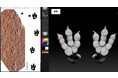 【国立科学博物館】ミニ企画展「エウブロンテス・ノビタイ　～のび太の夢を叶えた恐竜の足跡化石」開催のご案内