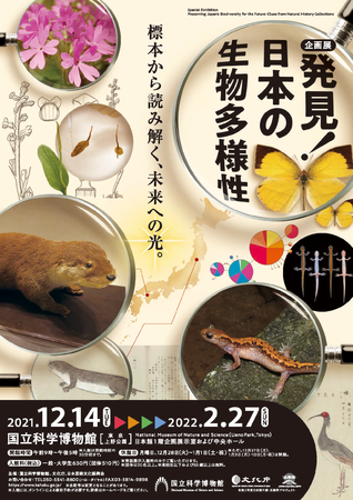 企画展「発見！日本の生物多様性　～標本から読み解く、未来への光～」ポスター