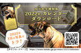 【国立科学博物館】＜無料配布＞2022年オリジナルカレンダーのスマートフォン用（壁紙）・印刷用データを公開しました！どなたでもダウンロードいただけます！