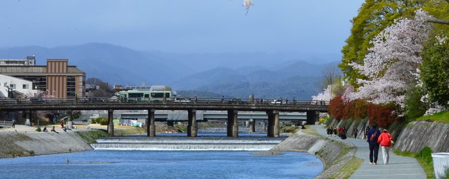 春の三条大橋 春の三条大橋