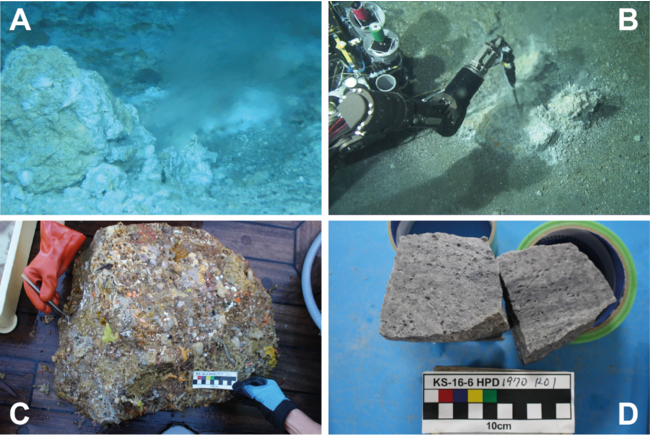 図２大室ダシの海底画像と採取された岩石試料
