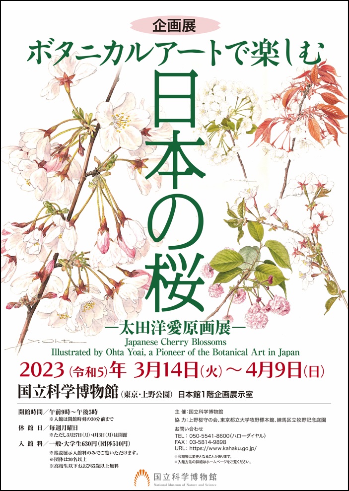 国立科学博物館】企画展「ボタニカルアートで楽しむ日本の桜 －太田洋
